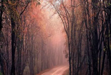 九游会体育：2025年中国协杯资格赛将于今年12月举行.