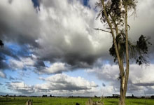 [NBA]塔图姆29+10+8 凯尔特人战胜马刺.