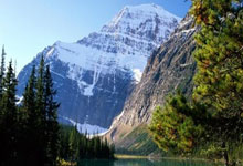 [举重]哈比拉获亚锦赛97公斤级男子自由跤铜牌.